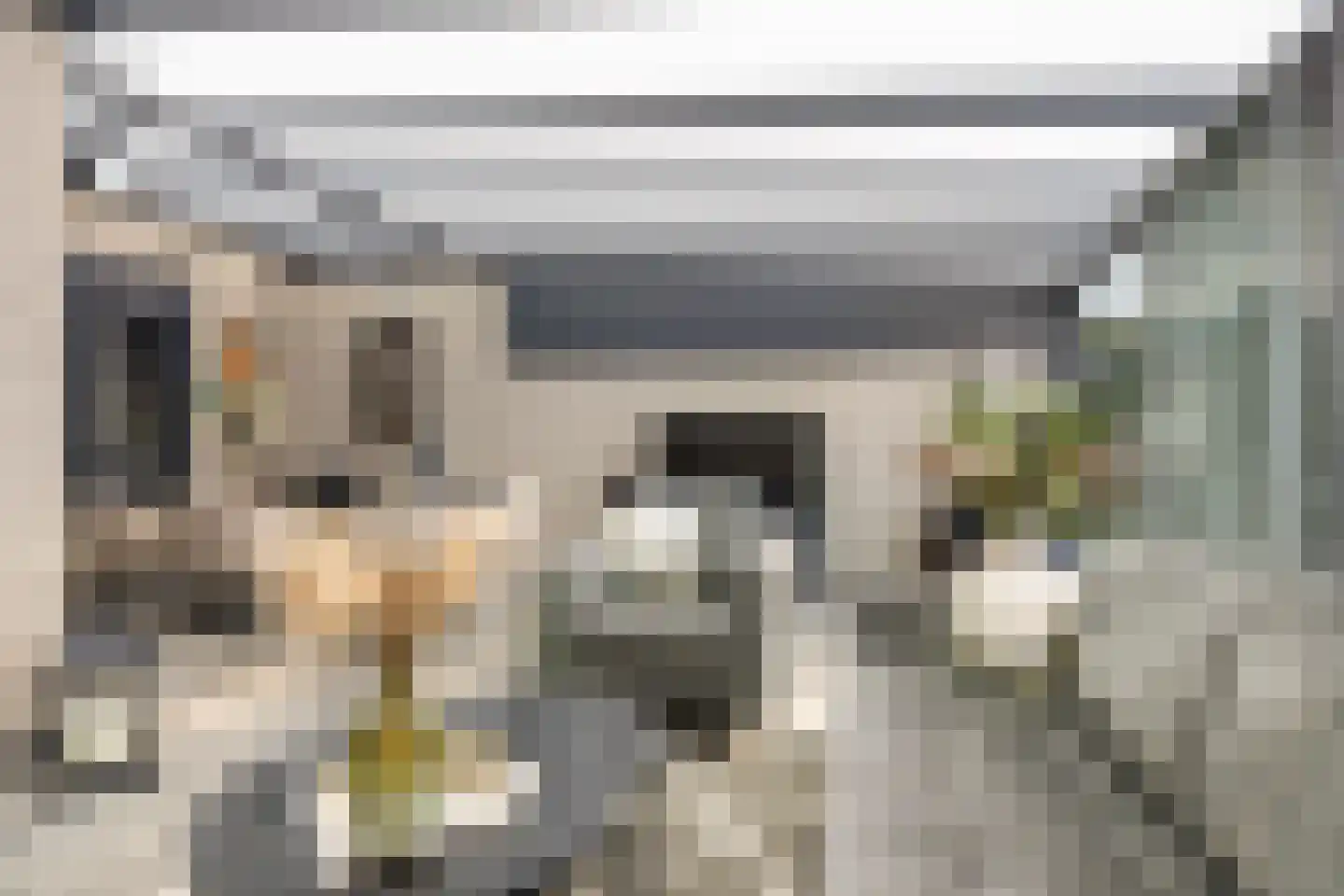 De Kreuzen 25 Erica thumbnail 19