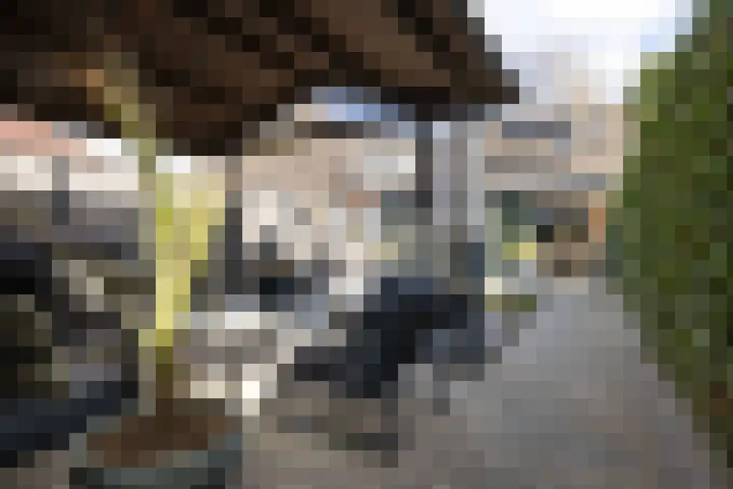 De Kreuzen 25 Erica thumbnail 32
