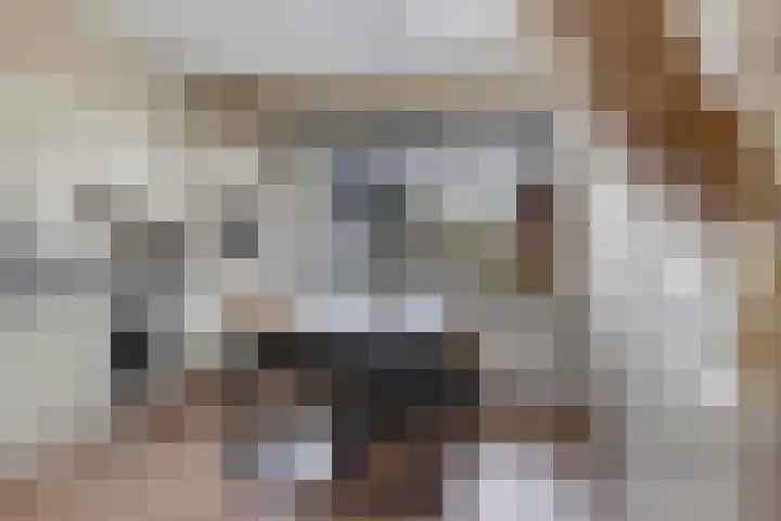 De Kreuzen 4 Erica thumbnail 10