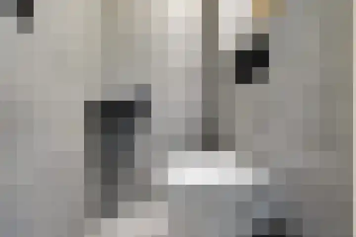 De Kreuzen 4 Erica thumbnail 14