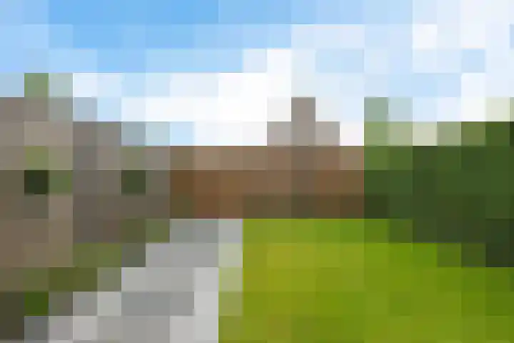 De Kreuzen 4 Erica thumbnail 28