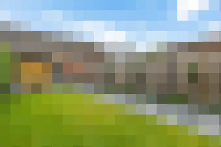 De Kreuzen 4 Erica thumbnail 29