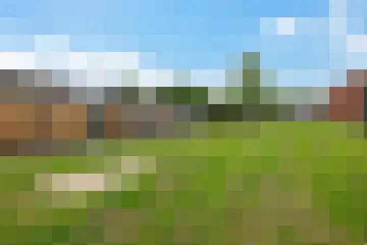 De Kreuzen 4 Erica thumbnail 31
