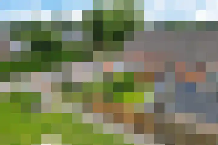 De Kreuzen 4 Erica thumbnail 32