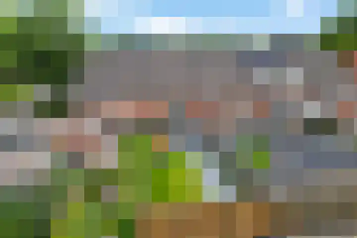 De Kreuzen 4 Erica thumbnail 33