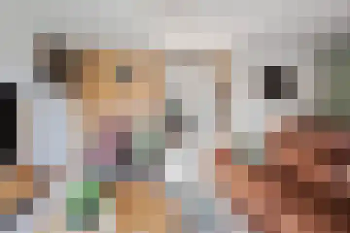 De Kreuzen 8 Erica thumbnail 10