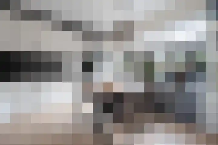 De Kreuzen 8 Erica thumbnail 12