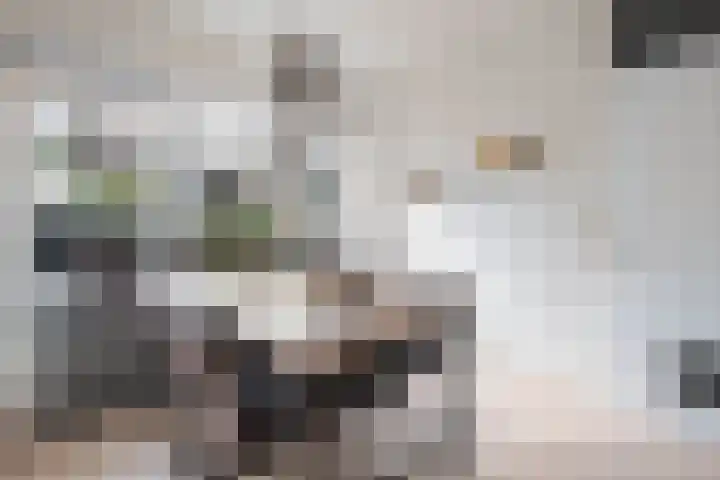 De Kreuzen 8 Erica thumbnail 14
