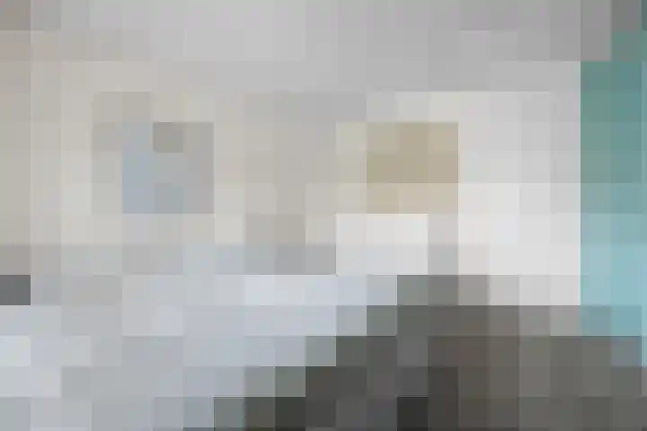 De Kreuzen 8 Erica thumbnail 20