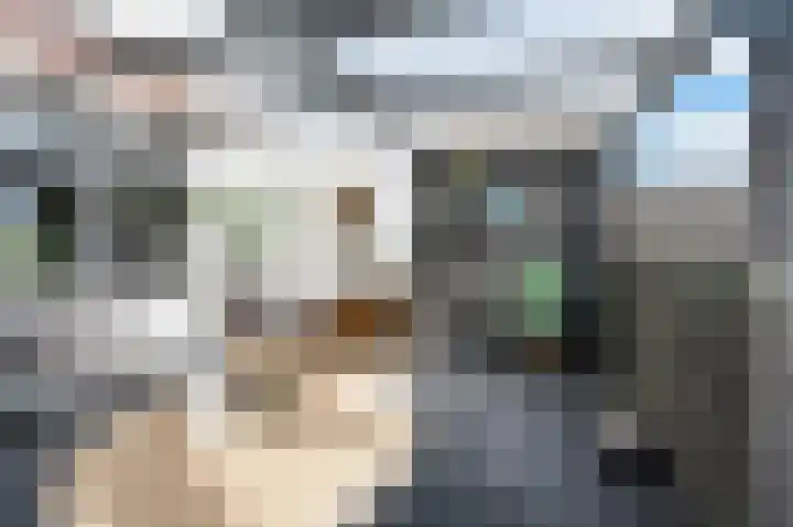 De Kreuzen 8 Erica thumbnail 30