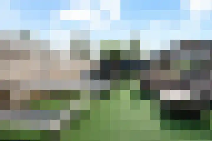 De Kreuzen 8 Erica thumbnail 31