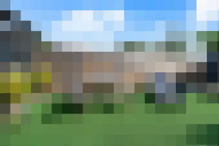 De Kreuzen 8 Erica thumbnail 32