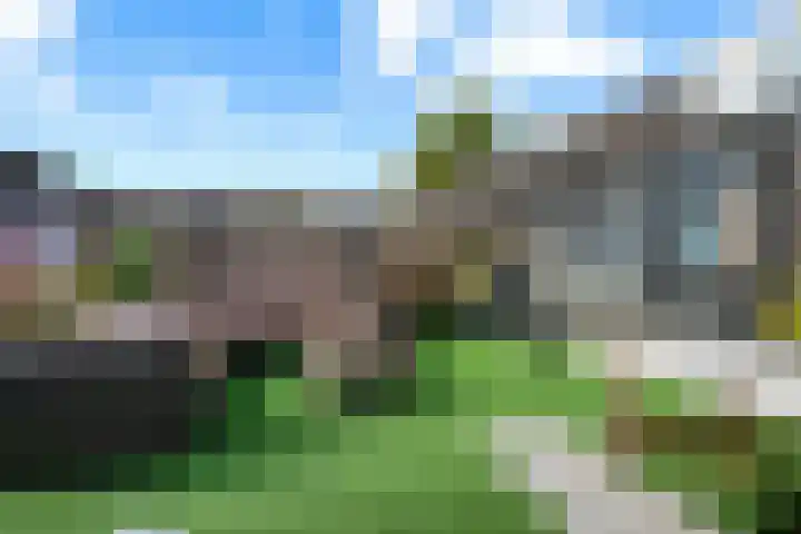 De Kreuzen 8 Erica thumbnail 33