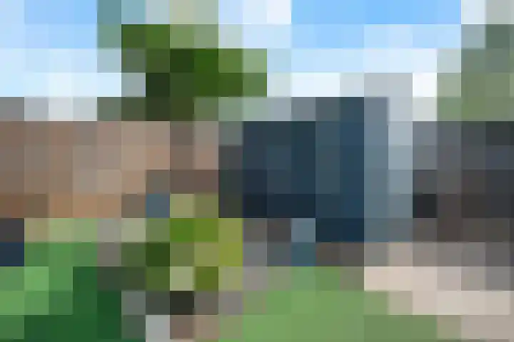 De Kreuzen 8 Erica thumbnail 34