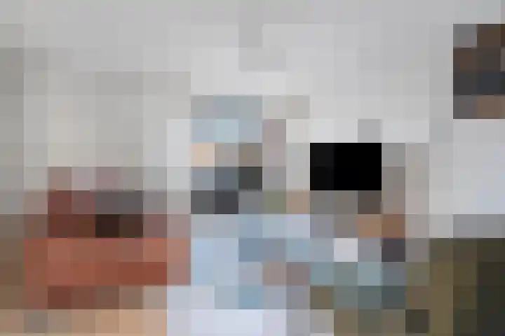 De Kreuzen 8 Erica thumbnail 5
