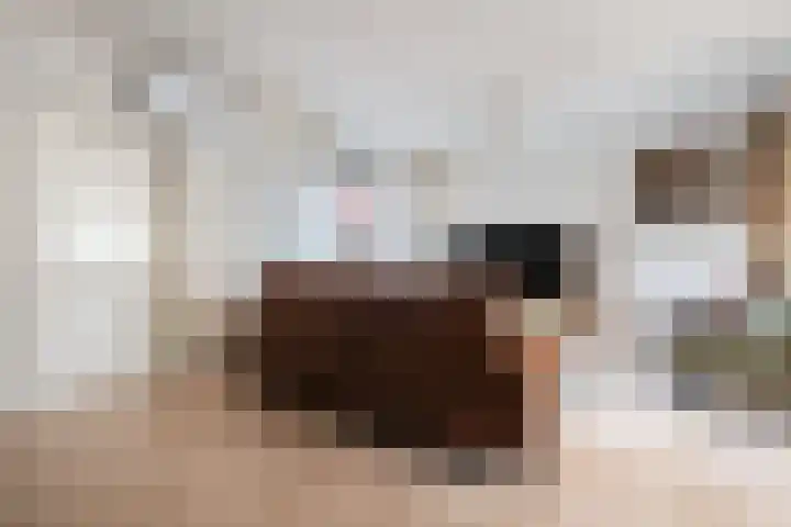 De Kreuzen 8 Erica thumbnail 9