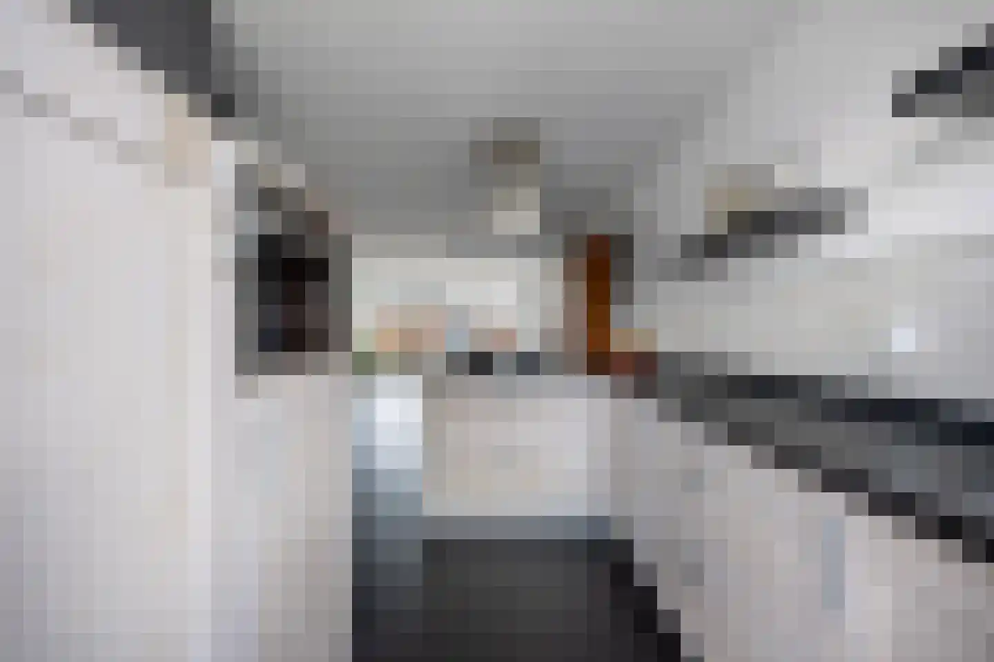 De Krijgsman 33 Uitgeest thumbnail 18