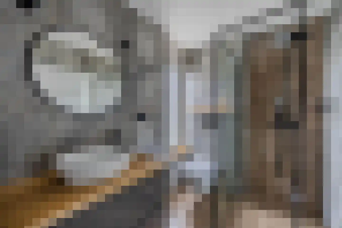 De Krijgsman 33 Uitgeest thumbnail 28