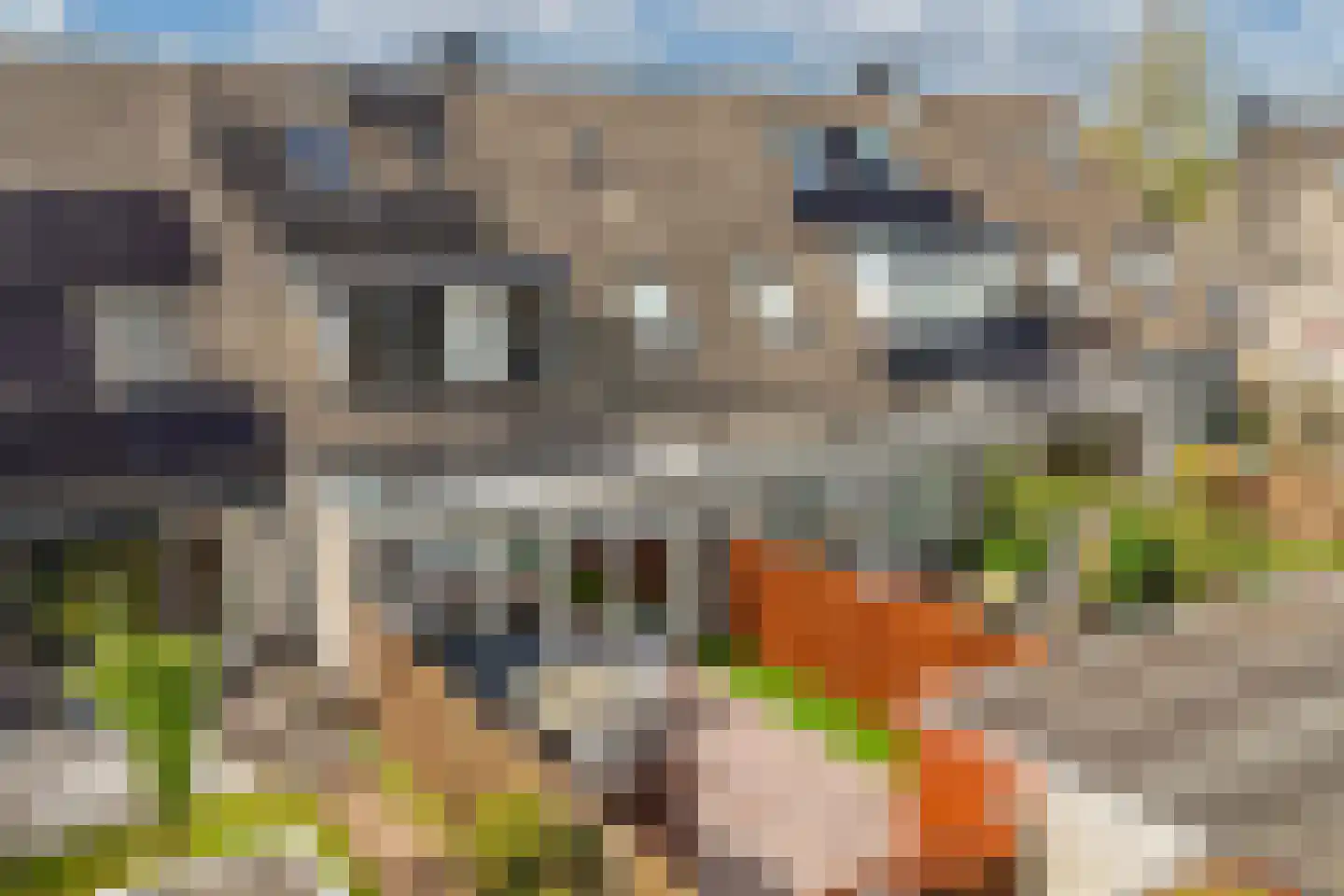 De Krijgsman 33 Uitgeest thumbnail 42
