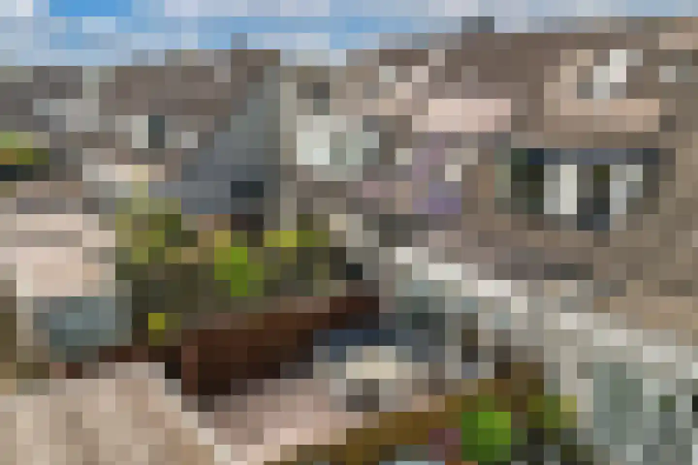 De Krijgsman 33 Uitgeest thumbnail 43