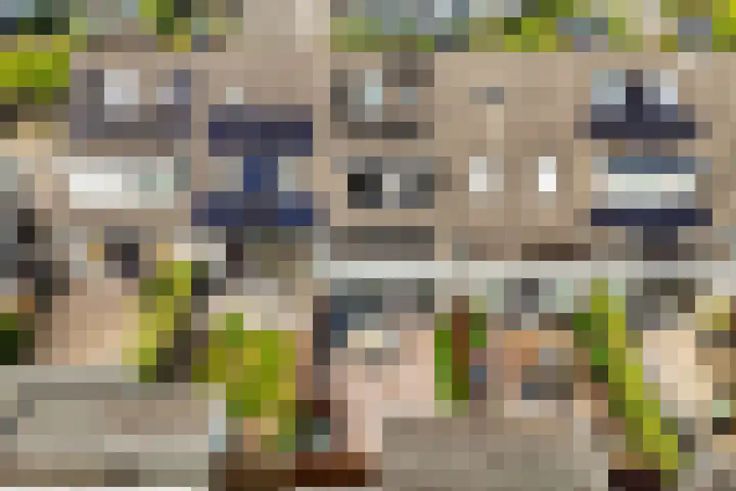 De Krijgsman 33 Uitgeest thumbnail 44