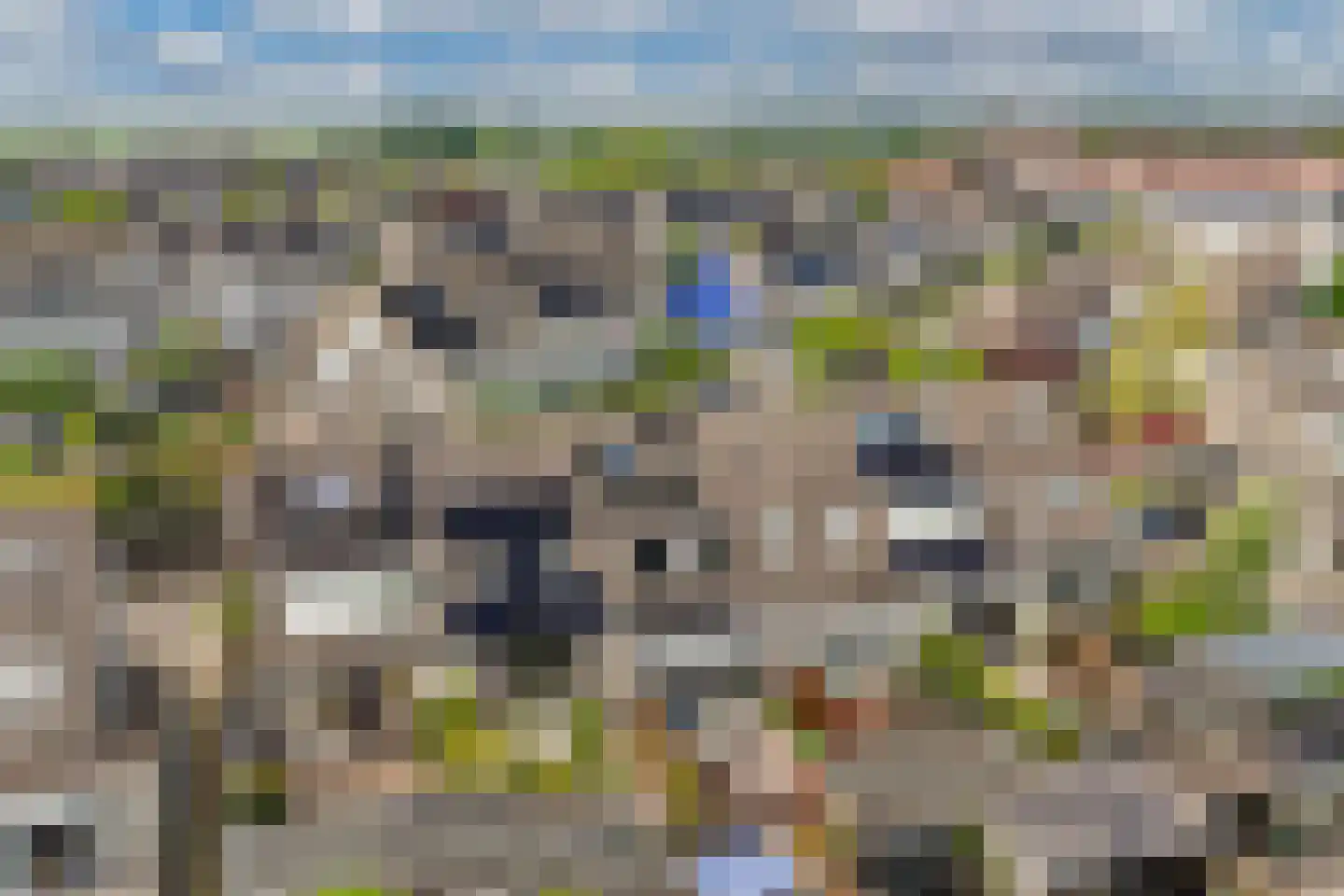 De Krijgsman 33 Uitgeest thumbnail 45