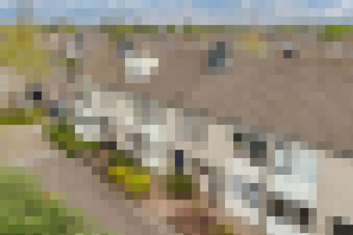 De Krijgsman 33 Uitgeest thumbnail 50