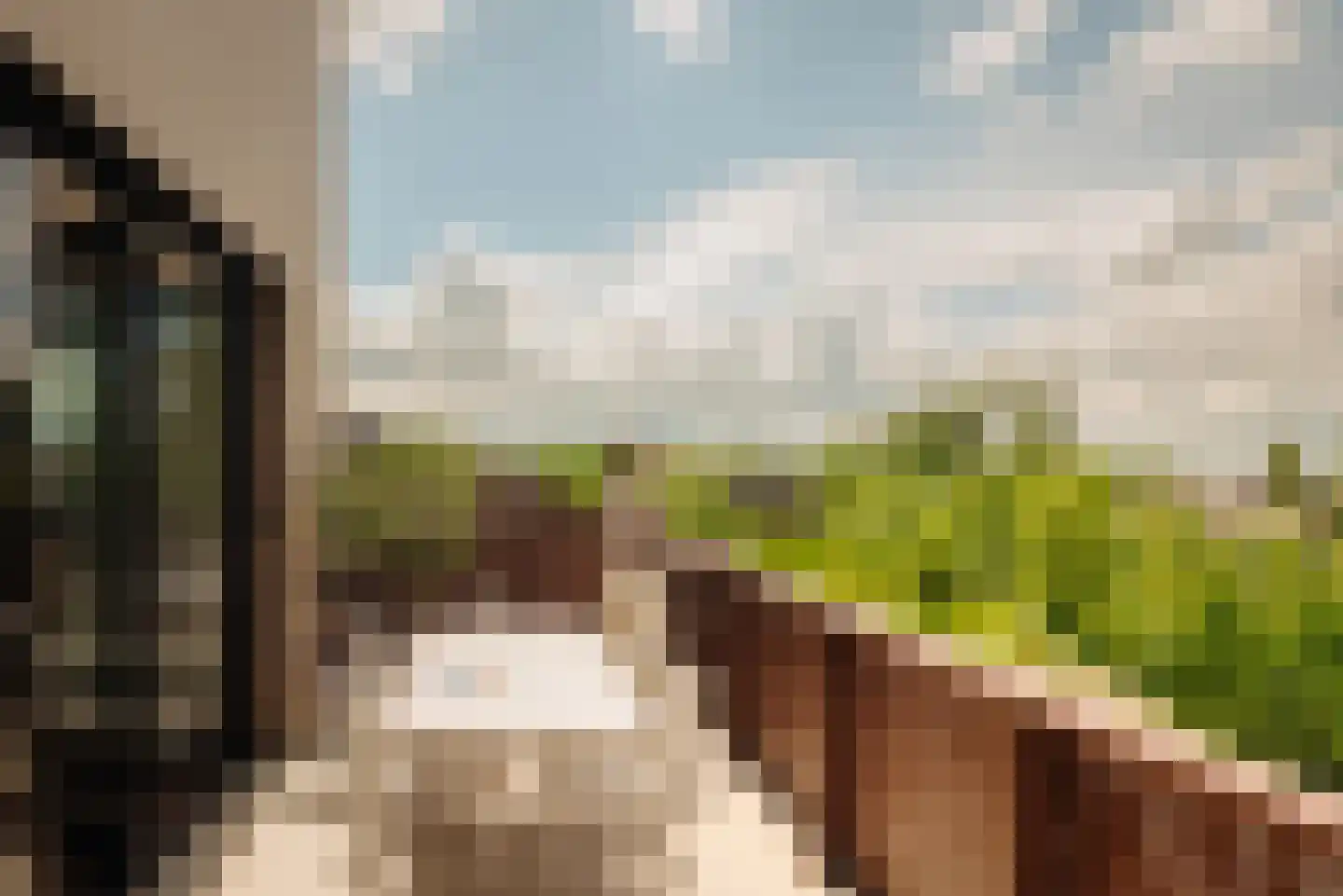 De Krijgsmanlaan 84 Muiden thumbnail 17