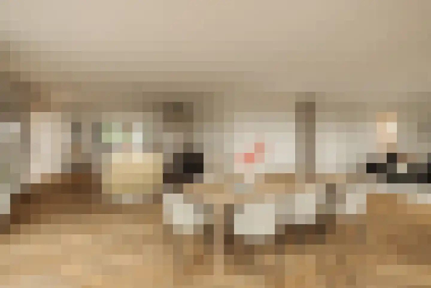 De Krijgsmanlaan 84 Muiden thumbnail 18