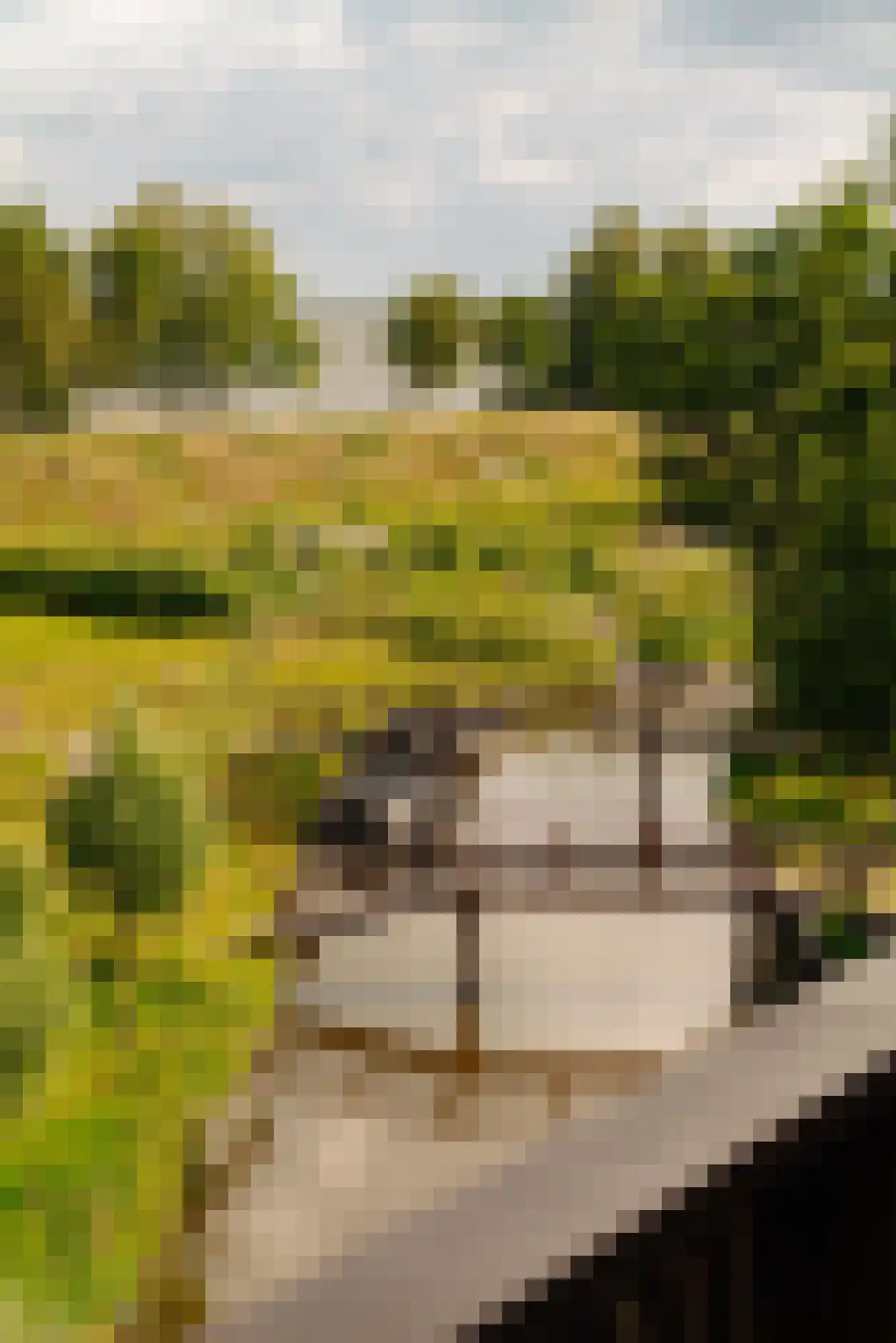 De Krijgsmanlaan 84 Muiden thumbnail 41