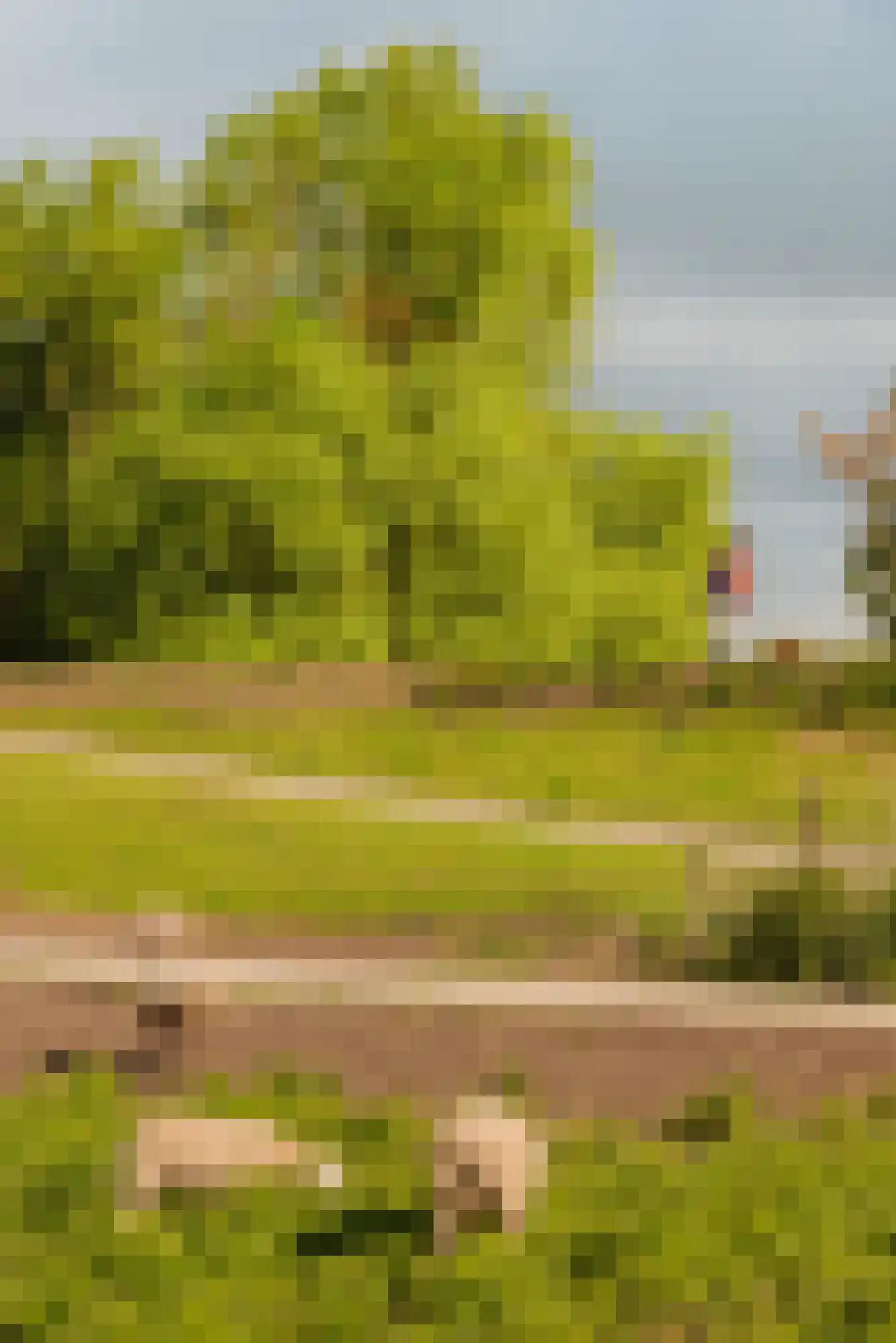 De Krijgsmanlaan 84 Muiden thumbnail 45