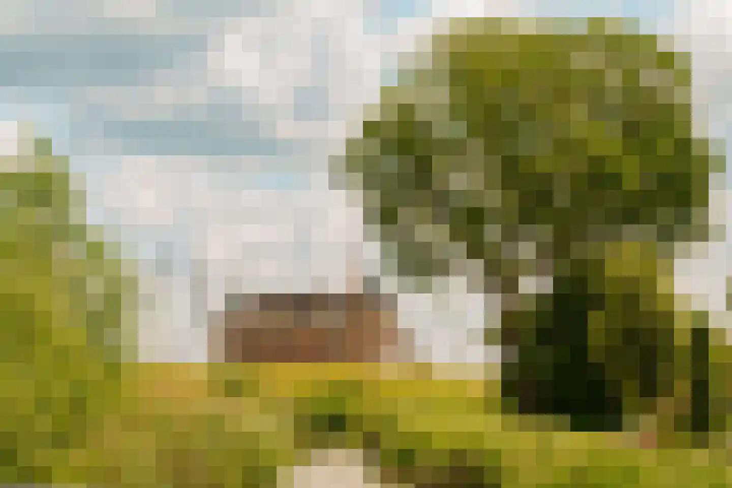 De Krijgsmanlaan 84 Muiden thumbnail 47