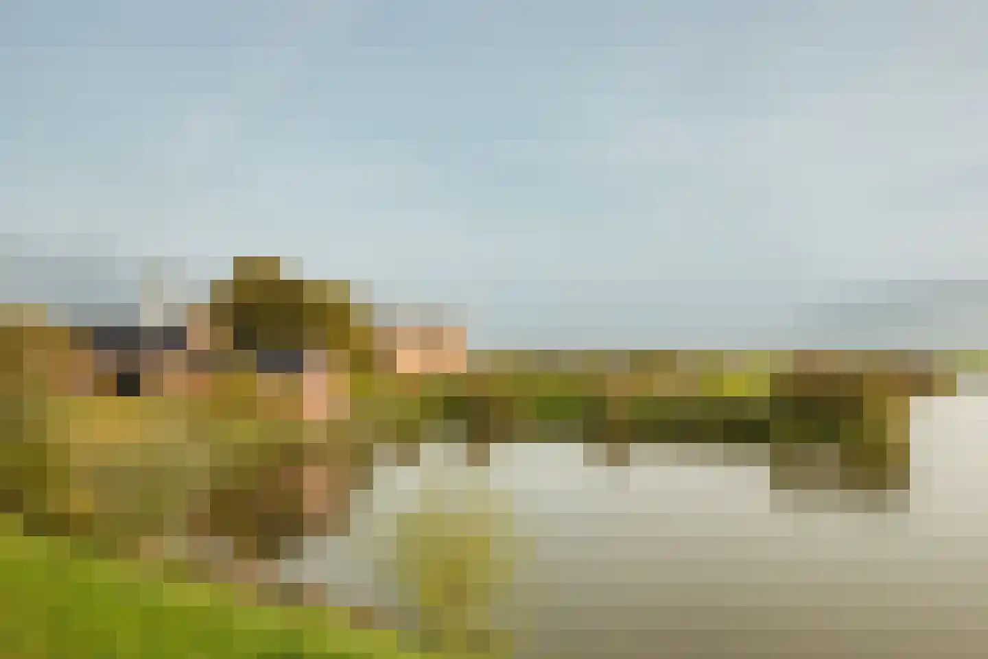 De Krijgsmanlaan 84 Muiden thumbnail 48