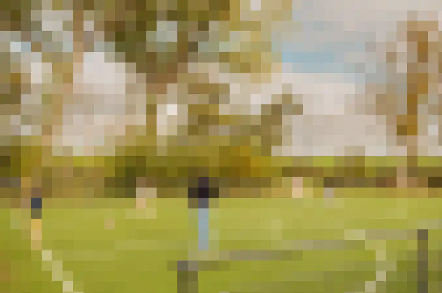De Krijgsmanlaan 84 Muiden thumbnail 51