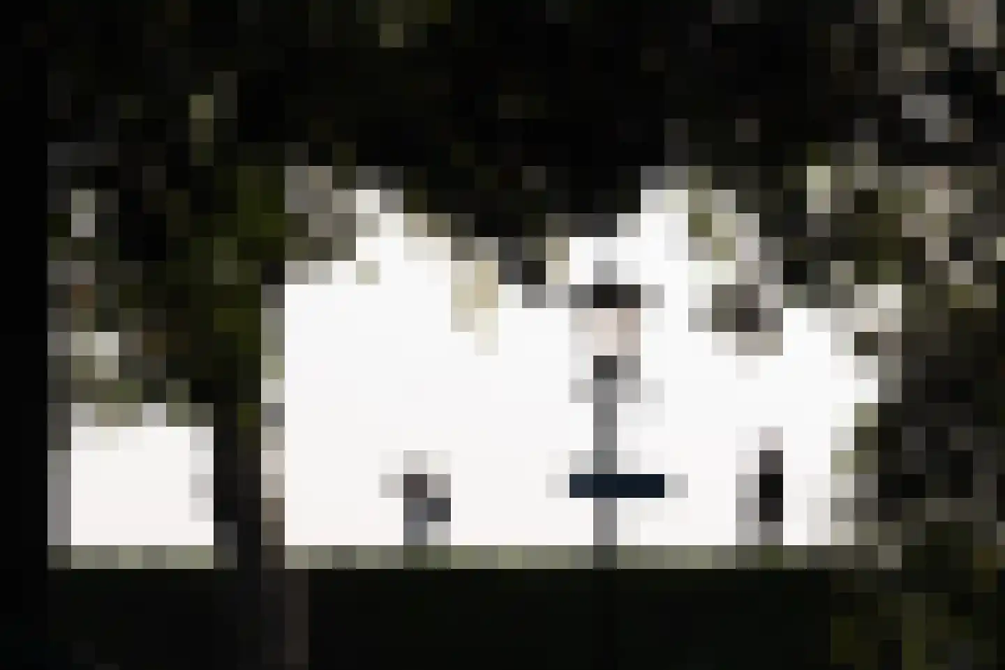 De Krijgsmanlaan 84 Muiden thumbnail 52