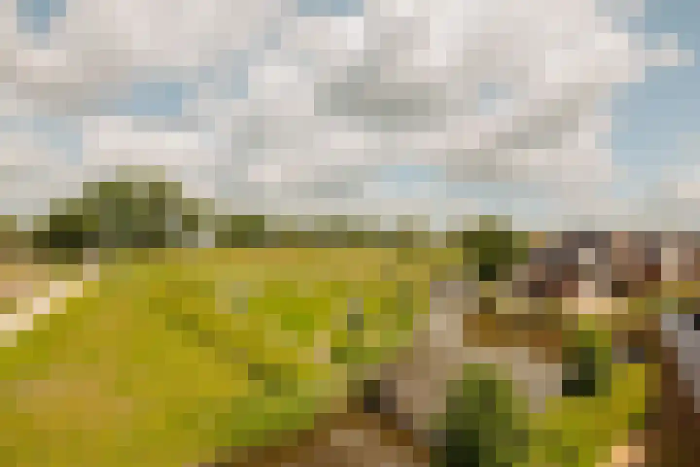 De Krijgsmanlaan 84 Muiden thumbnail 6