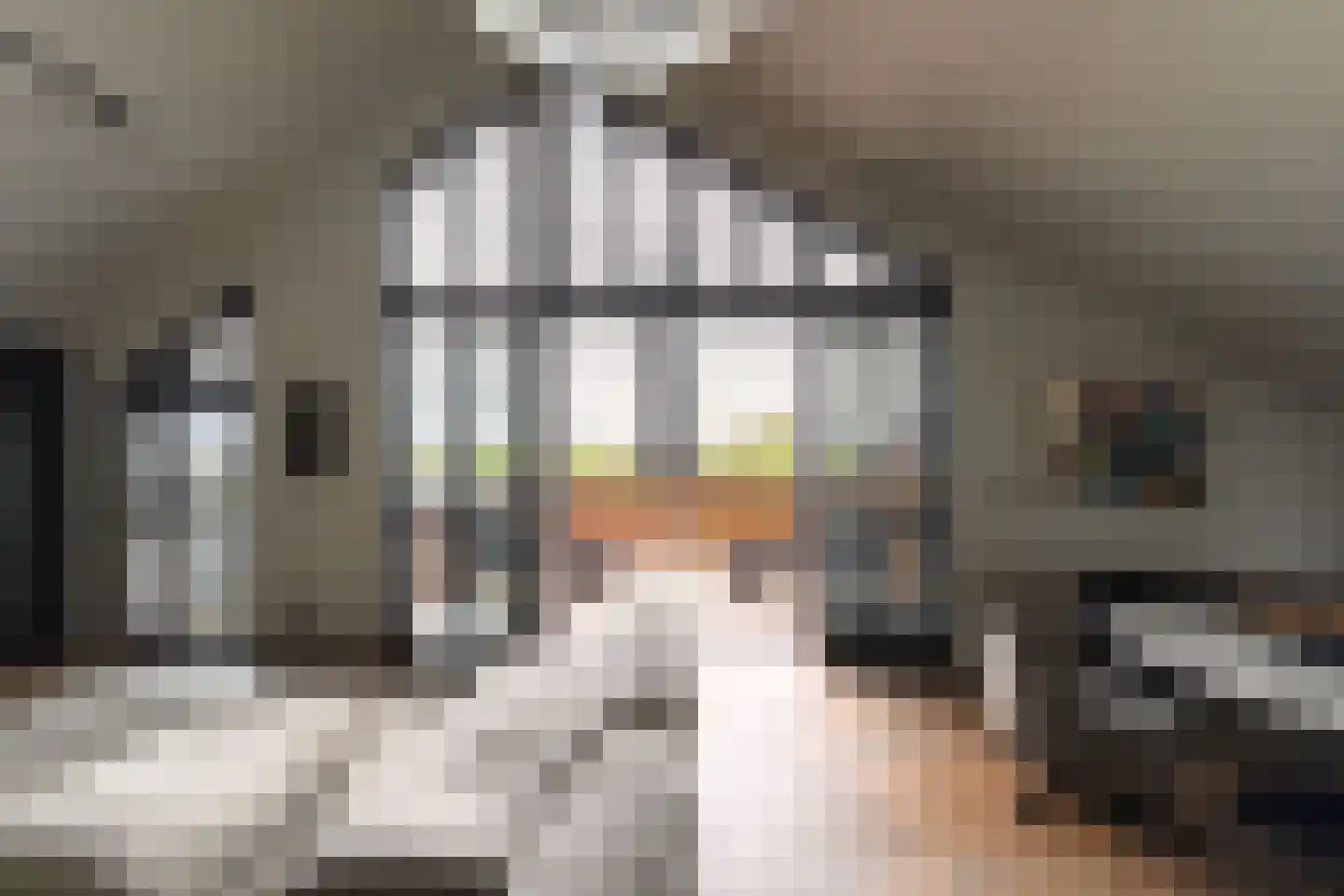 De Krijgsmanlaan 92 Muiden thumbnail 12