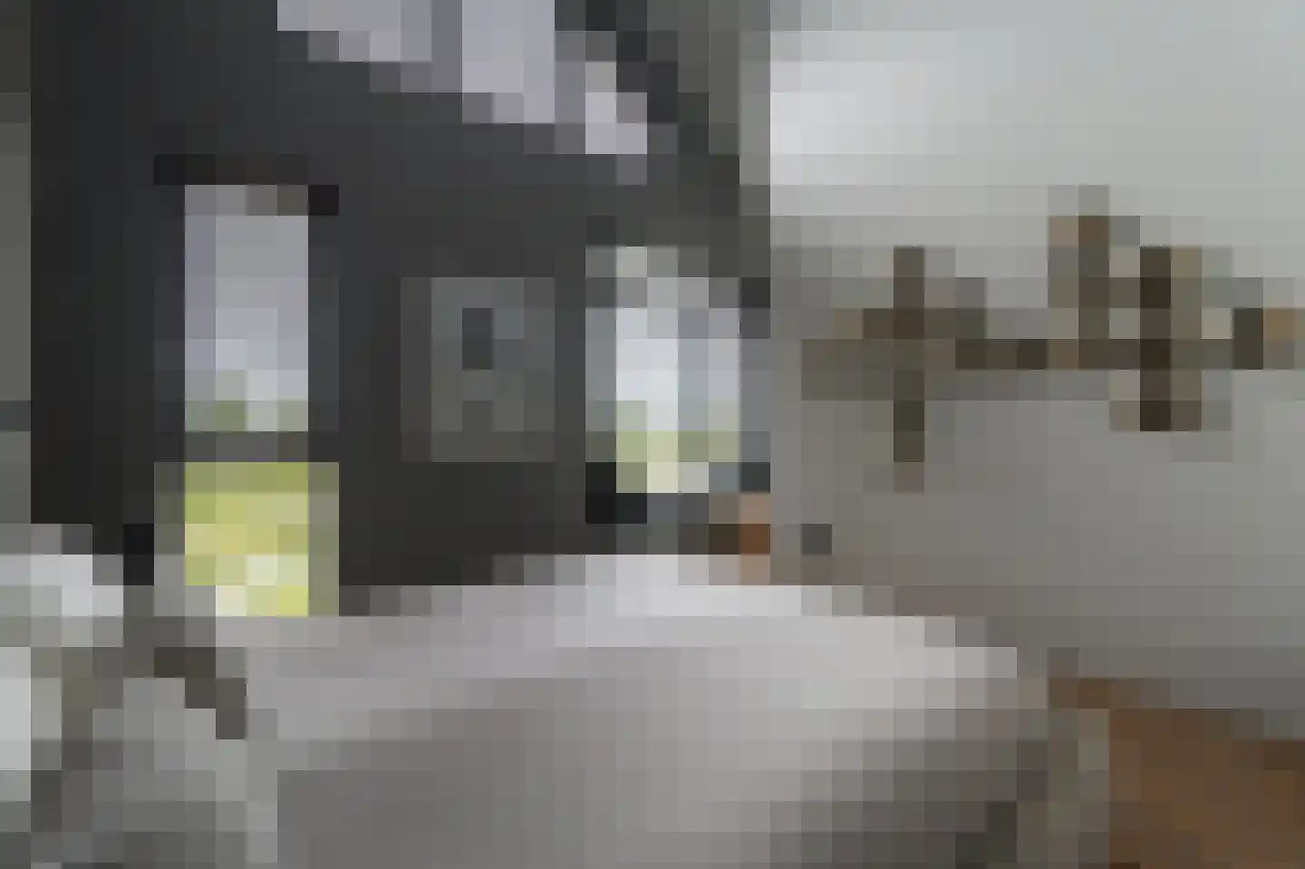 De Krijgsmanlaan 92 Muiden thumbnail 14