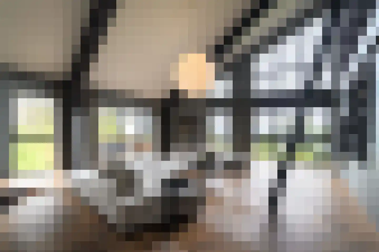 De Krijgsmanlaan 92 Muiden foto 3