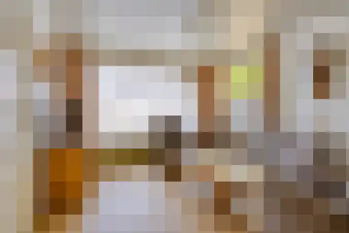de Krijntjes 35 Rucphen thumbnail 10