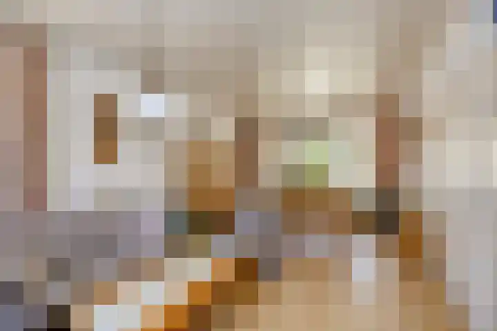 de Krijntjes 35 Rucphen thumbnail 11