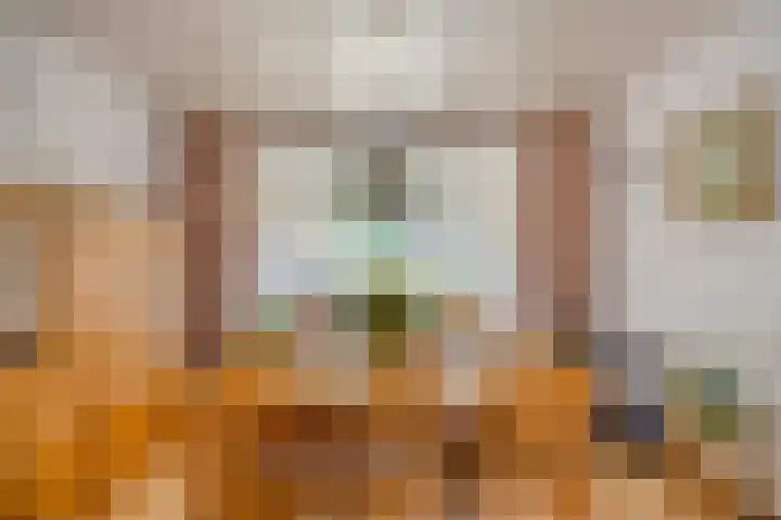 de Krijntjes 35 Rucphen thumbnail 12