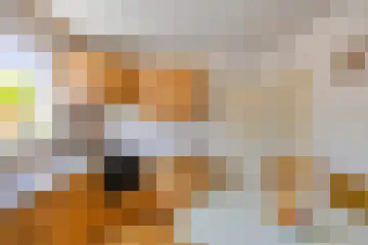 de Krijntjes 35 Rucphen thumbnail 14