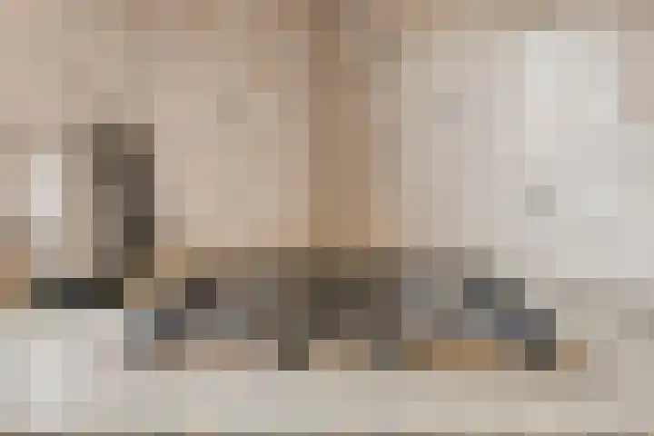 de Krijntjes 35 Rucphen thumbnail 16