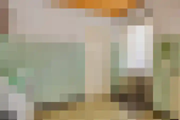de Krijntjes 35 Rucphen thumbnail 17