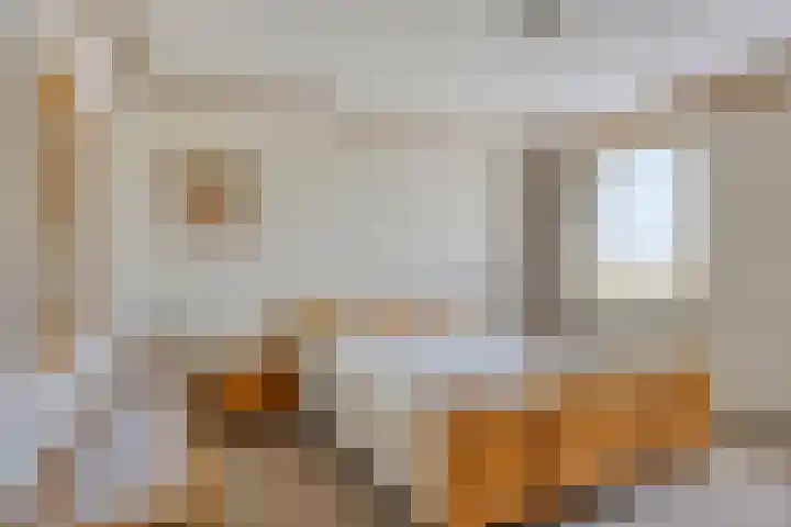 de Krijntjes 35 Rucphen thumbnail 19
