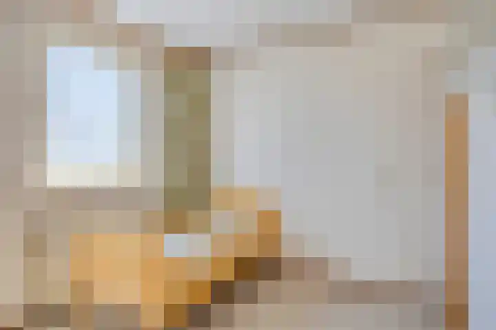 de Krijntjes 35 Rucphen thumbnail 23