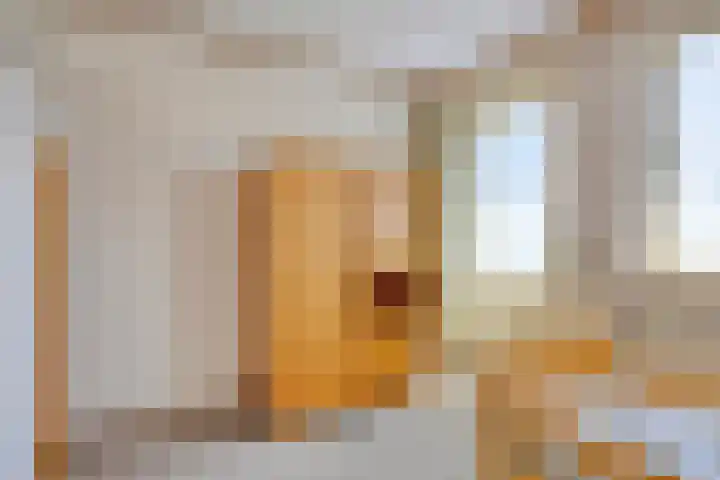 de Krijntjes 35 Rucphen thumbnail 24