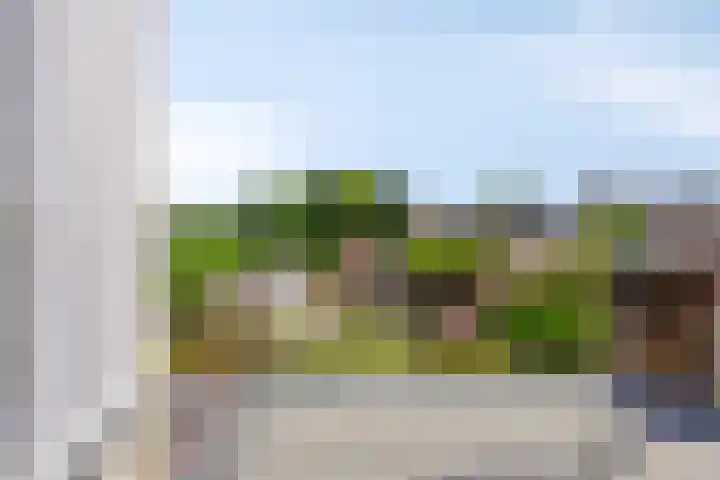 de Krijntjes 35 Rucphen thumbnail 25