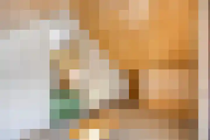 de Krijntjes 35 Rucphen thumbnail 27